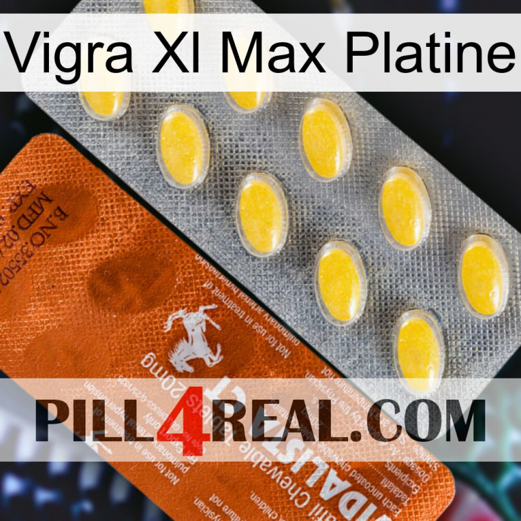 Vigra Xl Max Platinum 42